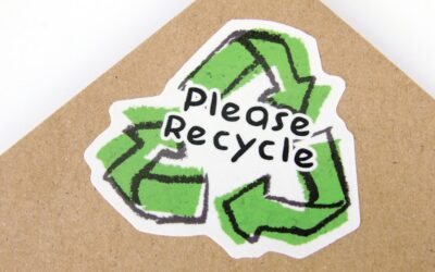Top 10 Eco-Friendly E-Commerce Design Agencies: A Ranking You Can Trust