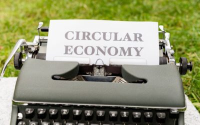 Leading the Circular Economy: Recognizing the Visionary Innovators of 2021